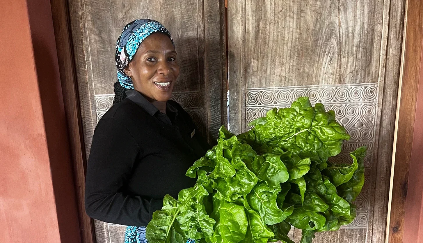 Spring Harvest: Garden to Table